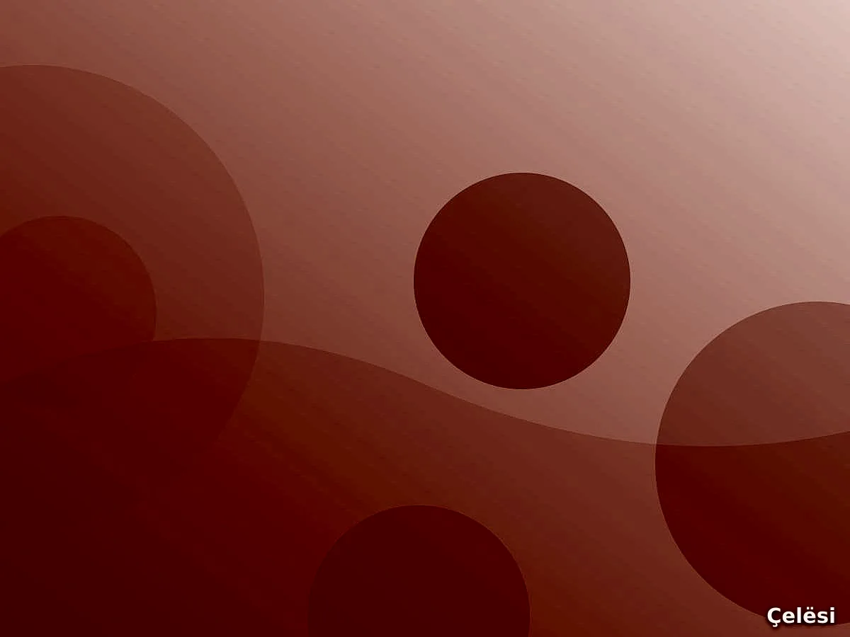 Aksesor auto – Hoxha Tahsim