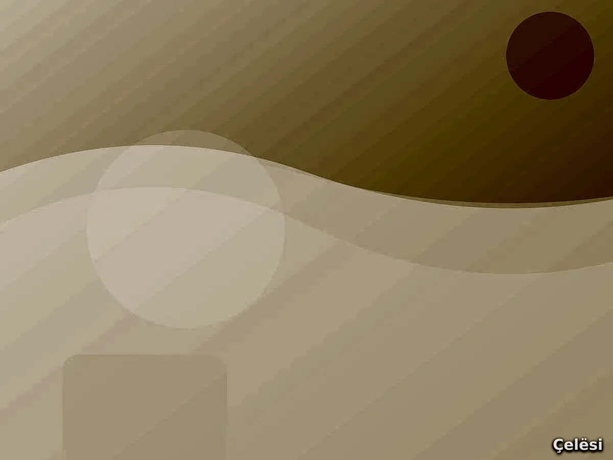 Kurse profesionale në Tiranë – Liqeni Artificial