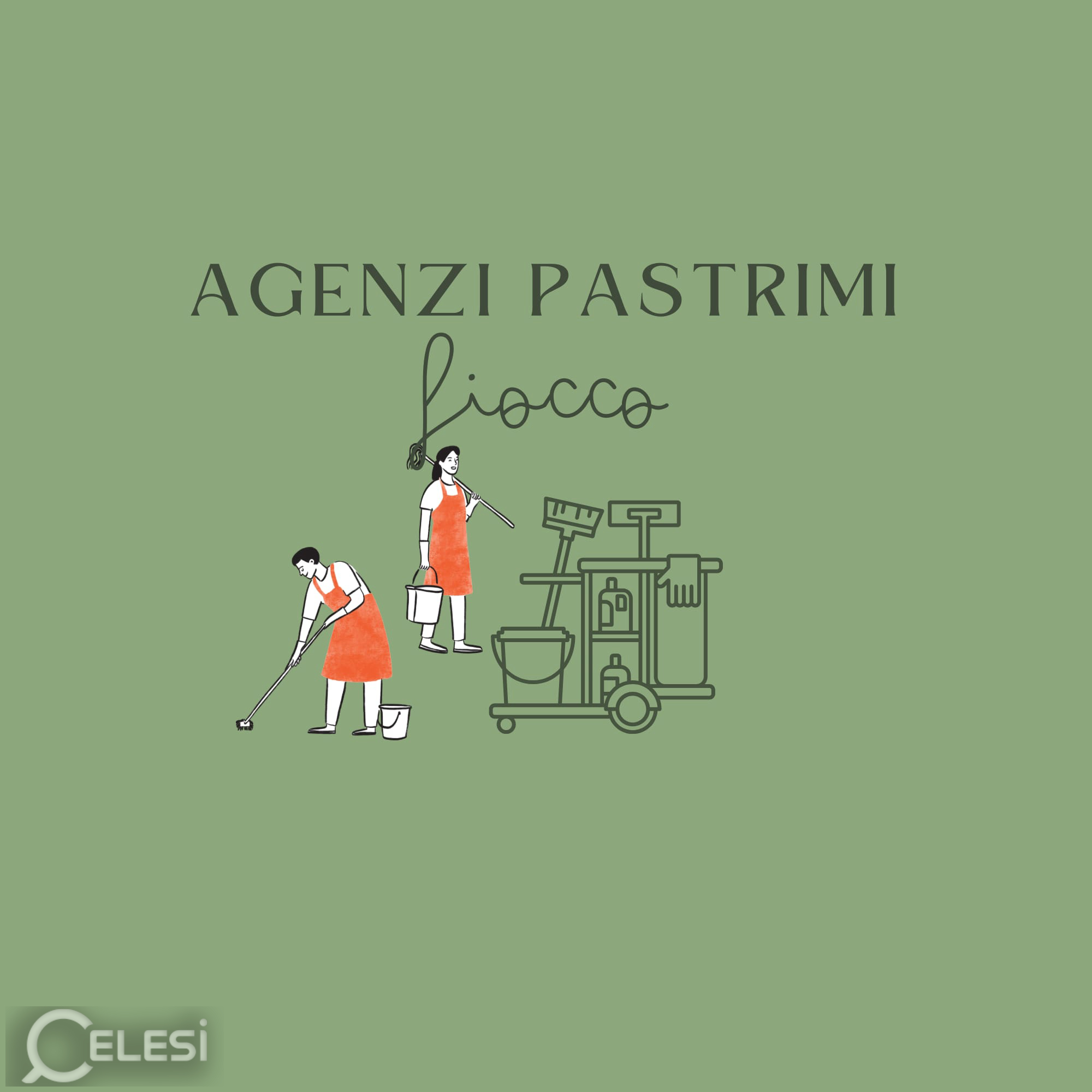 Agjencia e Pastrimit FIOCCO - Shërbime profesionale pastrimi – Tiranë