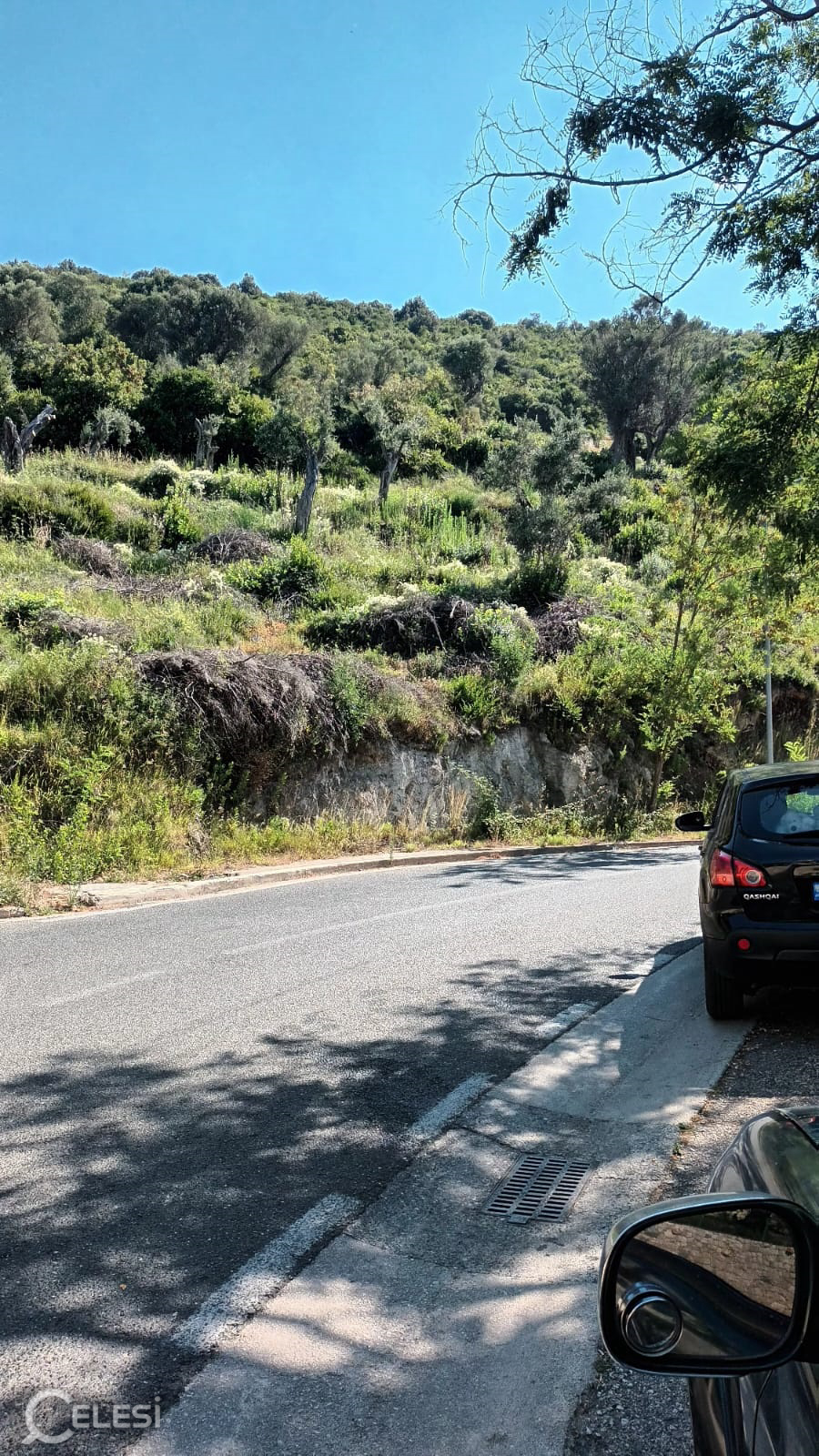 SHITET TOKE - LINZE, BUZE RRUGE, 50M NGA GODINA E KOMUNES, NE DREJTIM TE DAJTIT, – Linzë