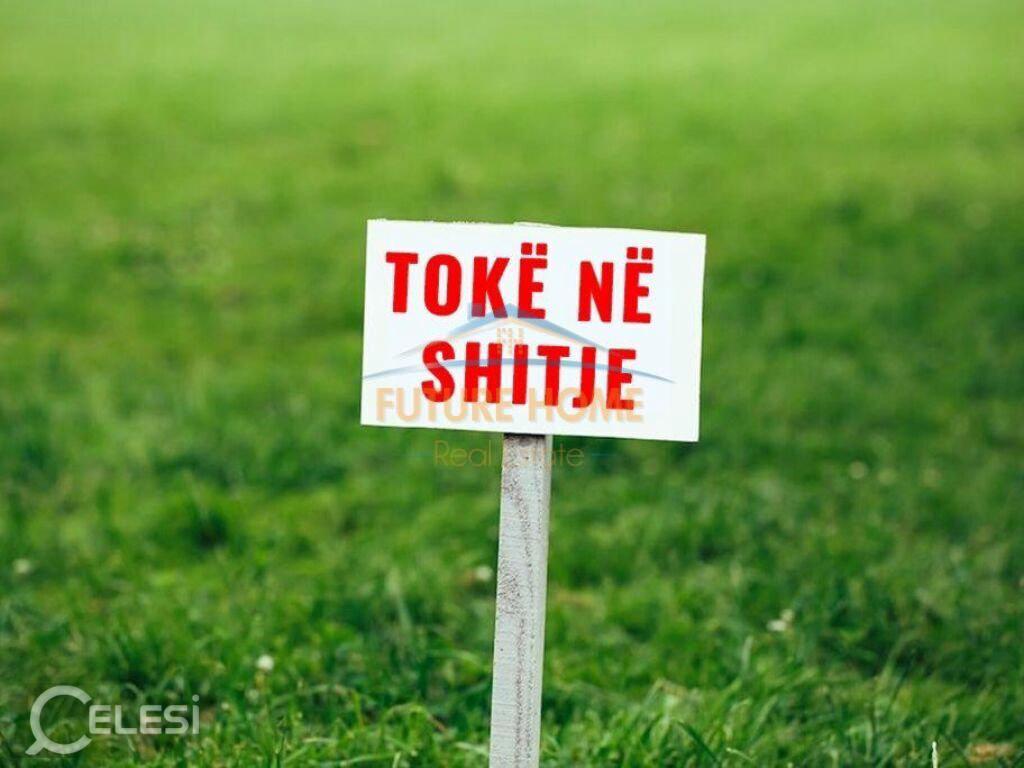 Shitet, Tokë, Borsh. – Dhërmi
